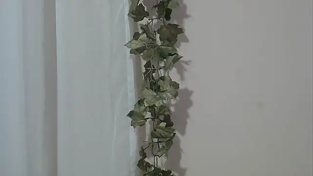 angelainparis28 online show from November 30, 5:00 am