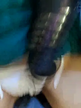 Bee sweet online show from February 22, 9:41 am