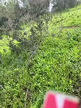 Snapshot of Yasar-Xxxl chatting on March 6, 3:52 pm Yasar-Xxxl online show from March 6, 3:52 pm