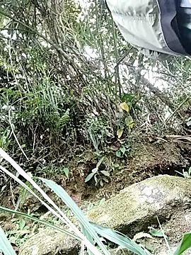 pitersonntt online show from February 10, 8:24 pm