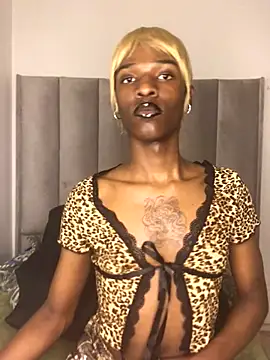 Trans fairy online show from October 25, 7:30 pm