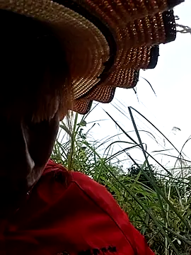 ngocngoc cute online show from January 14, 6:19 am