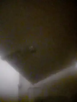 bullut06 online show from January 8, 11:45 am