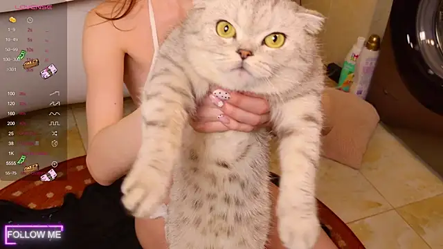 Angell Wild online show from November 24, 3:01 pm