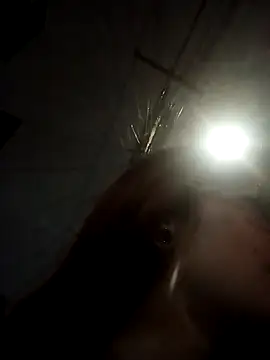  Alaskamisa online show from November 10, 1:15 am