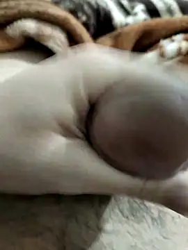 Zepe 12 online show from March 1, 10:12 pm