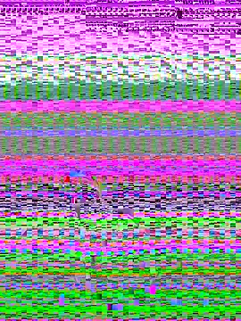 pnwzo online show from October 3, 8:28 pm