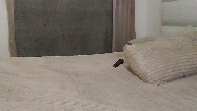 Snapshot of SexyNonnyy chatting on October 10, 6:40 pm SexyNonnyy online show from October 10, 6:40 pm