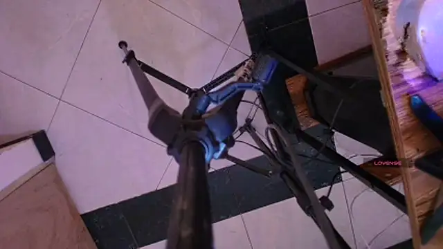 Terraelowen online show from November 13, 11:20 am