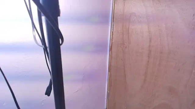 Terraelowen online show from February 24, 11:30 am