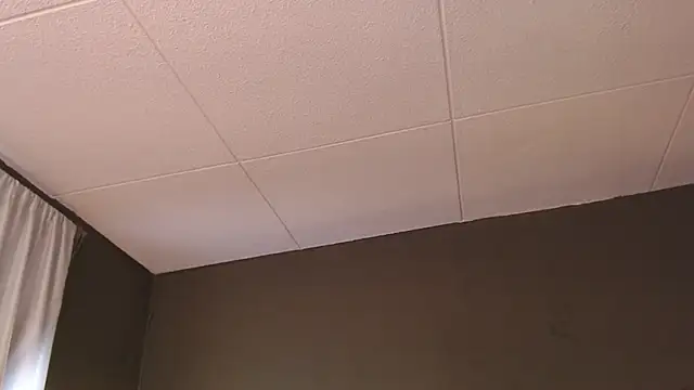 PaulEvens online show from December 5, 1:31 pm