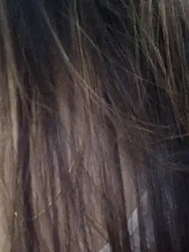 Snapshot of DPK25 chatting on December 21, 11:06 am DPK25 online show from December 21, 11:06 am