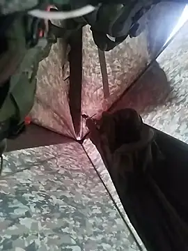 Snapshot of Alabestia12 chatting on November 5, 9:48 pm Alabestia12 online show from November 5, 9:48 pm