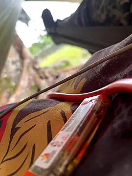 Snapshot of Alabestia12 chatting on November 10, 4:39 pm Alabestia12 online show from November 10, 4:39 pm