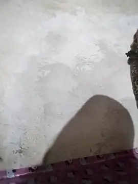 big booty15 online show from October 5, 2:32 am