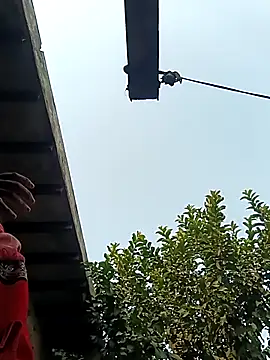 heena3355 online show from December 2, 3:56 am