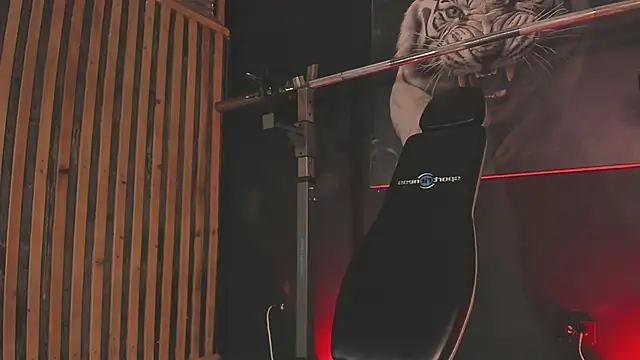 Snapshot of DimitriDeluxe chatting on November 29, 8:12 pm DimitriDeluxe online show from November 29, 8:12 pm