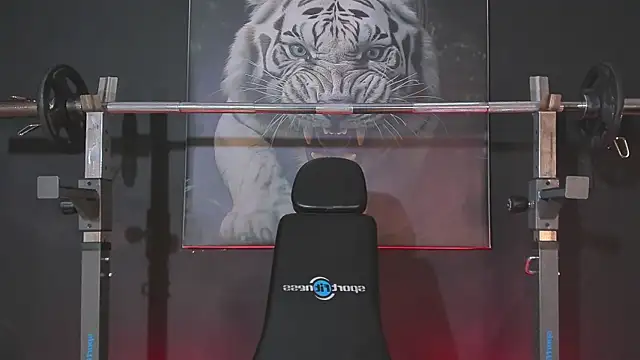 Snapshot of DimitriDeluxe chatting on December 3, 7:45 pm DimitriDeluxe online show from December 3, 7:45 pm