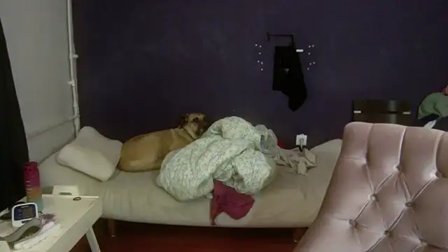 turkishTransEfsun online show from November 3, 10:05 am