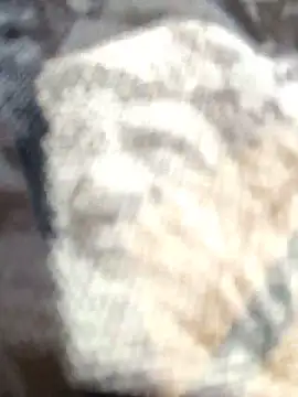 Zoe73  online show from February 25, 8:18 pm