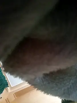 Hamzahk online show from March 20, 7:02 am