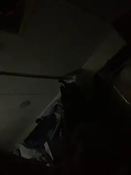 Snapshot of shakeweight chatting on October 3, 10:56 am shakeweight online show from October 3, 10:56 am