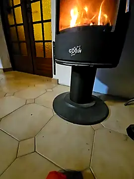 Stingles online show from February 28, 10:00 pm