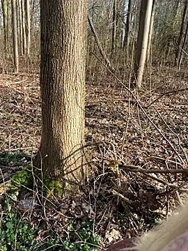 CoraDiamond online show from March 8, 2:10 pm