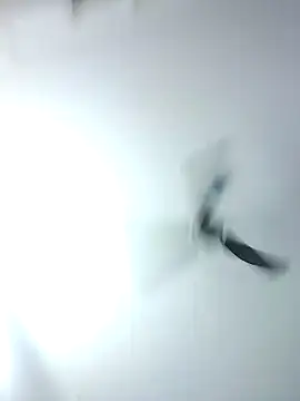 Kehar punjaban online show from September 28, 7:36 am