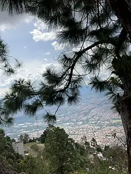 Alexis Spicter online show from December 14, 7:07 pm