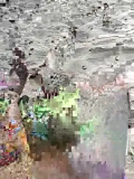 Snapshot of pegaso369 chatting on June 16, 2:52 pm pegaso369 online show from June 16, 2:52 pm