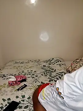 Snapshot of Nedambale chatting on February 1, 10:03 am Nedambale online show from February 1, 10:03 am