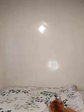 Snapshot of Nedambale chatting on February 3, 10:53 am Nedambale online show from February 3, 10:53 am