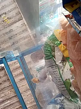 Lorenasex online show from November 15, 12:02 pm