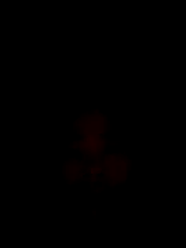 Snapshot of CoMay003 chatting on December 15, 12:15 am CoMay003 online show from December 15, 12:15 am