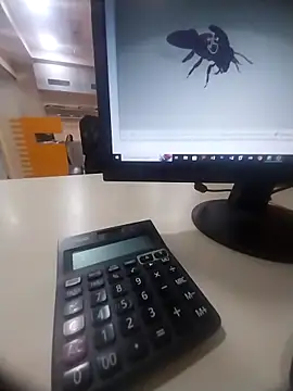 kiss like choco11 online show from October 6, 5:38 am