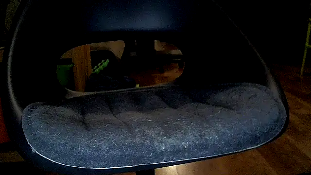 TobyDick13 online show from January 17, 11:30 pm