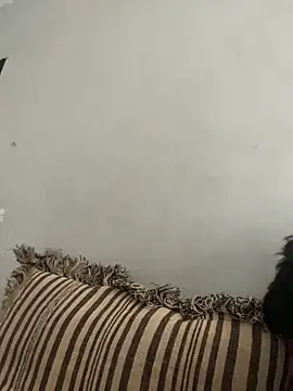 NoddingScorpion online show from November 10, 8:35 am