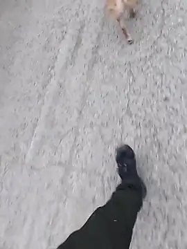 Snapshot of Axelitoc chatting on March 5, 6:09 am Axelitoc online show from March 5, 6:09 am