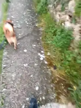 Snapshot of Axelitoc chatting on April 16, 5:08 am Axelitoc online show from April 16, 5:08 am