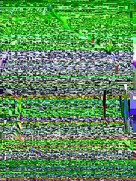 Snapshot of OrchidBae chatting on October 8, 12:25 pm OrchidBae online show from October 8, 12:25 pm