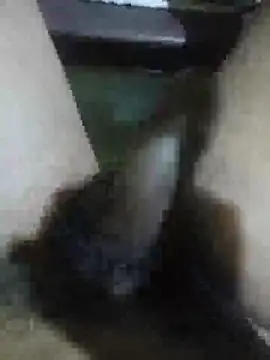 Vizgeboys online show from February 28, 9:43 am