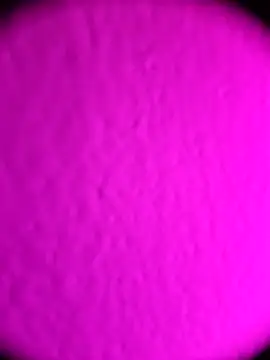 Michou02xXx online show from February 18, 4:52 am