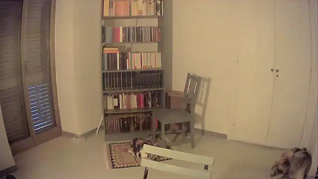 Mrkurt86 online show from October 26, 4:02 pm