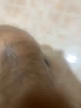 Binuthomas online show from November 24, 5:01 pm