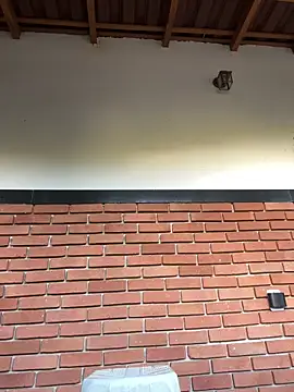 Dunot   online show from December 21, 9:16 am