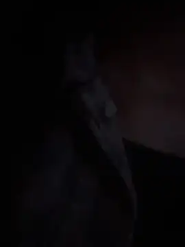 LilybethGray online show from November 19, 10:43 pm