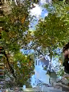 Mexxwell69 online show from September 14, 3:11 pm