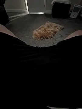 biversboy online show from October 29, 6:48 am