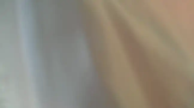 Snapshot of Liz_Hu chatting on December 6, 11:00 am Liz Hu online show from December 6, 11:00 am